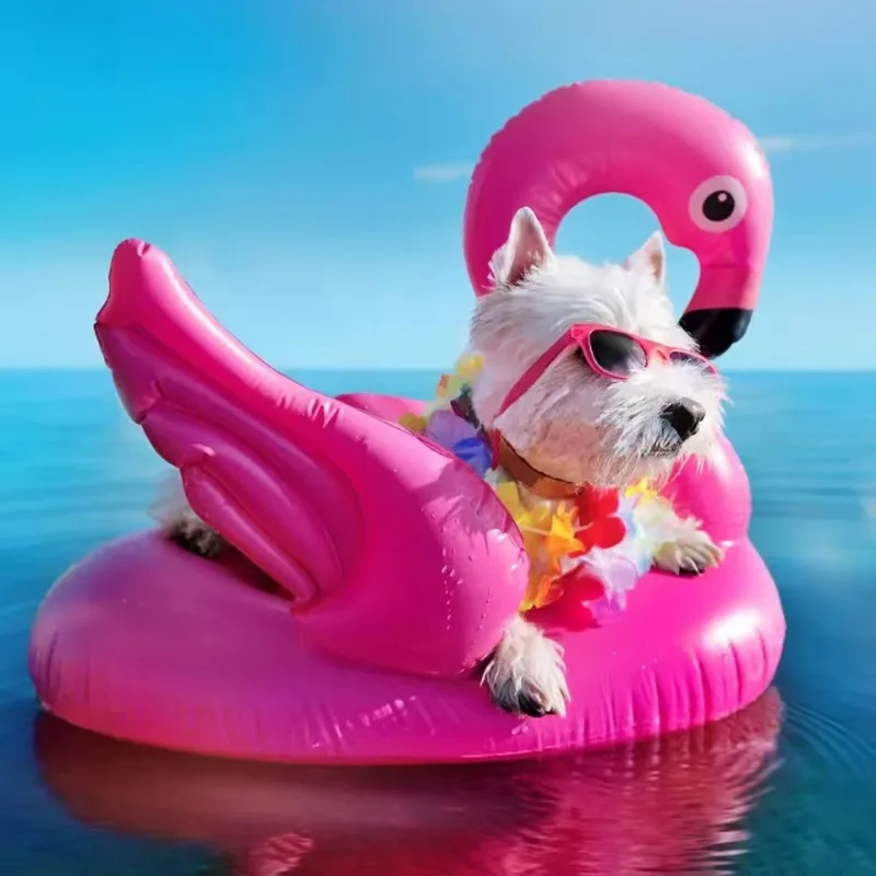 Zabawki do basenu dla dzieci,  – Baby Swimming Floater recenzja i cena